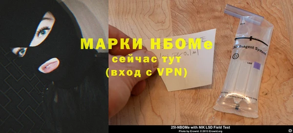 прущие грибы Надым
