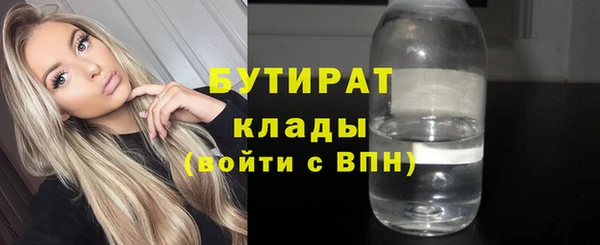 прущие грибы Надым