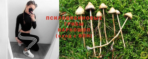 амф Абинск