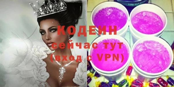 прущие грибы Надым
