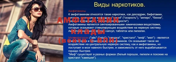 прущие грибы Надым