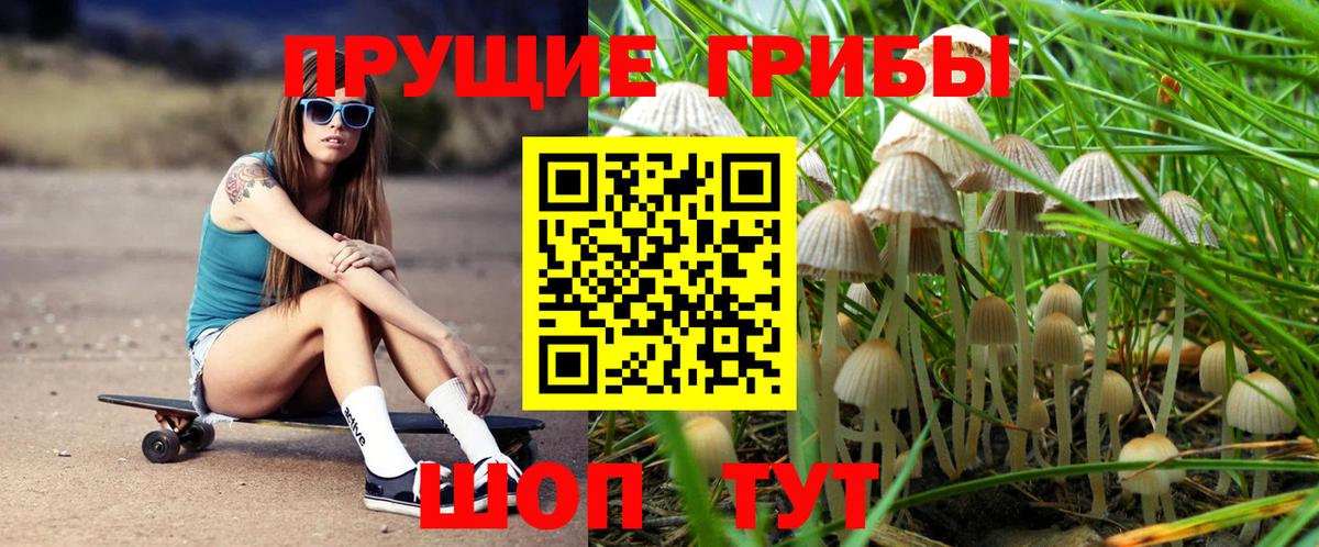 Псилоцибиновые грибы Cubensis  Вход с VPN  Саратов 