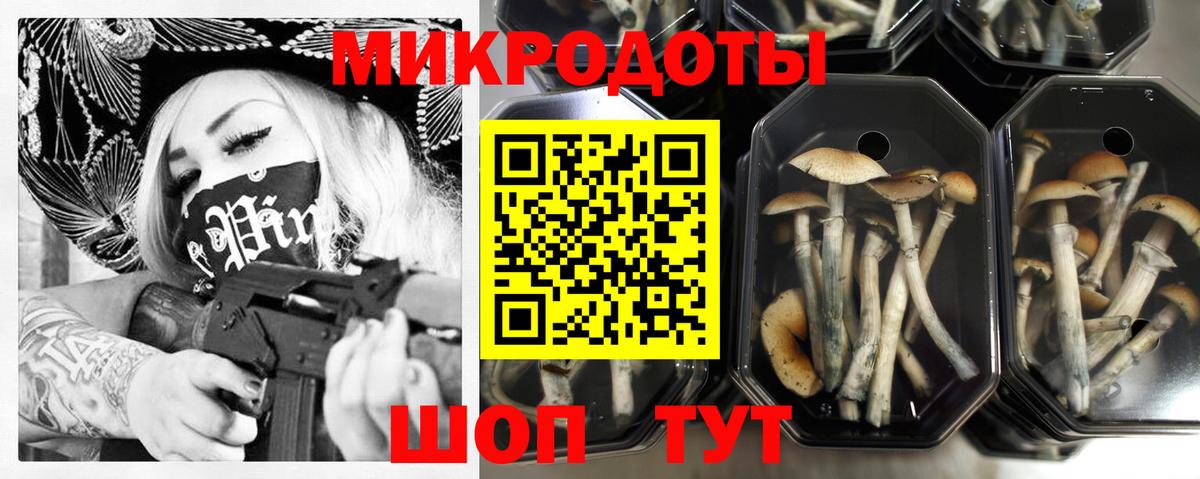 Псилоцибиновые грибы прущие грибы Саратов